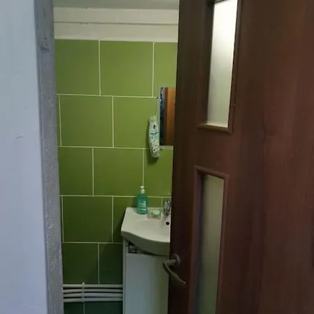 Studio Cochet In Centrul Bucurestiului アパート ブカレスト