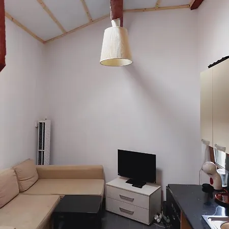 Studio Cochet In Centrul Bucurestiului *