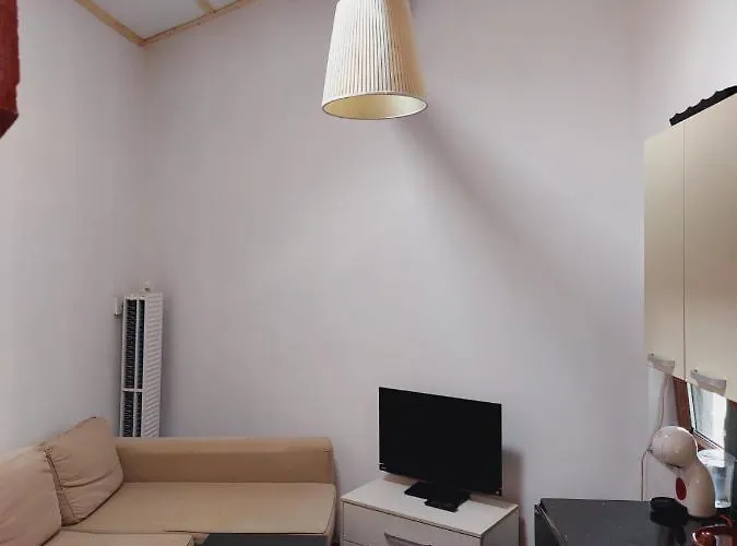 Studio Cochet In Centrul Bucurestiului *