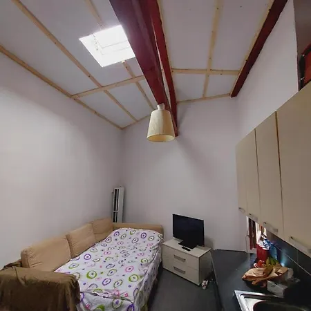 Studio Cochet In Centrul Bucurestiului * בוקרשט