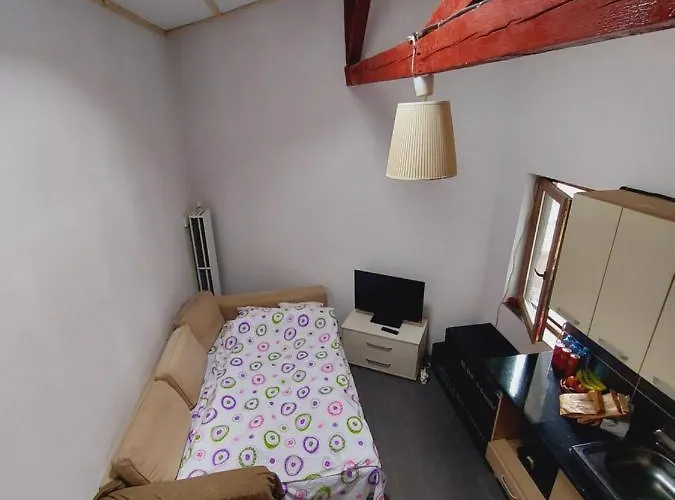 Studio Cochet In Centrul Bucurestiului Apartament